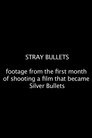 Stray Bullets