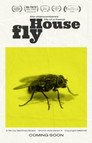 The Unencumbered Life of a French House Fly