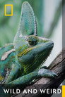 Plakat for 'Wild and Weird'