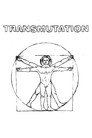 Transmutation