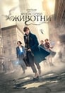 Фантастични животни и къде да ги намерим Цял филм BG (2016)