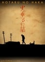 Grave of the Fireflies