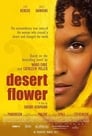 1-Desert Flower
