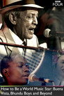 How To Be A World Music Star: Buena Vista, Bhundu Boys And Beyond Celý Film CZ (2013)