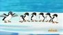 Puffin Fish Adventure