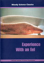 Experience With an Eel