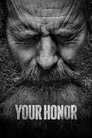 Your Honor Episode Rating Graph poster