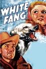 White Fang poster