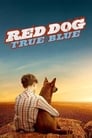 مترجم أونلاين و تحميل Red Dog: True Blue 2016 مشاهدة فيلم