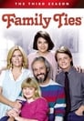 Family Ties - seizoen 3