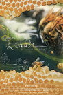 Where the Bees Belong