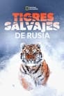 Tigres salvajes de Rusia (2022) | Russia’s Wild Tiger