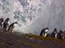 Science of Great Migrations