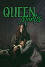 Queen Mantis