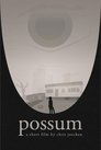 Possum