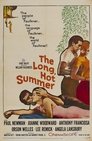 4-The Long, Hot Summer