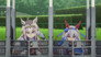 The Arima Kinen