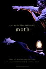 Moth