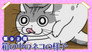 Night 92: What's the Cat Doing Inside the Box?