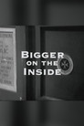 Bigger on the Inside (2010) - Affiche