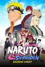 Affiche de Saison 20