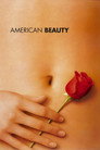 American Beauty