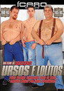 Ursos e Lolitos