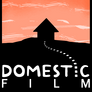 Domestic Film Domestic Film