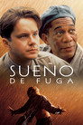 Sueño de fuga