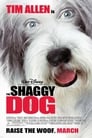 The Shaggy Dog