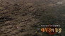 Episode 327