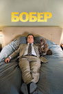 Постер: Бобёр
