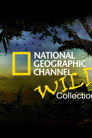 National Geographic Channel: Wild