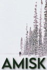 Amisk