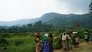 Cannabis in Congo