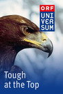 Plakat for 'Tough at the Top'