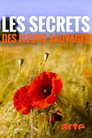 Les Secrets des fleurs sauvages
