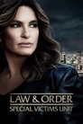 Law & Order: Special Victims Unit poster