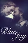 Poster van Blue Jay