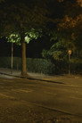 Canon: Urban Deer