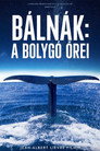 (HD). Bálnák, A Bolygó őrei Teljes Film Magyarul (2023) Ingyen Online