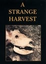 مشاهدة فيلم A Strange Harvest 1980 مترجم أون لاين بجودة عالية