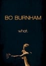 Bo Burnham: what.