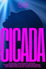 Cicada