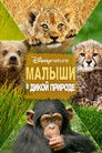 Постер: Growing Up Wild