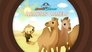 Arabian Camels