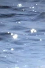 Blud'acqua
