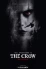 The Crow