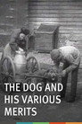 The Dog and His Various Merits