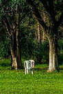 Cinema em Perspectiva